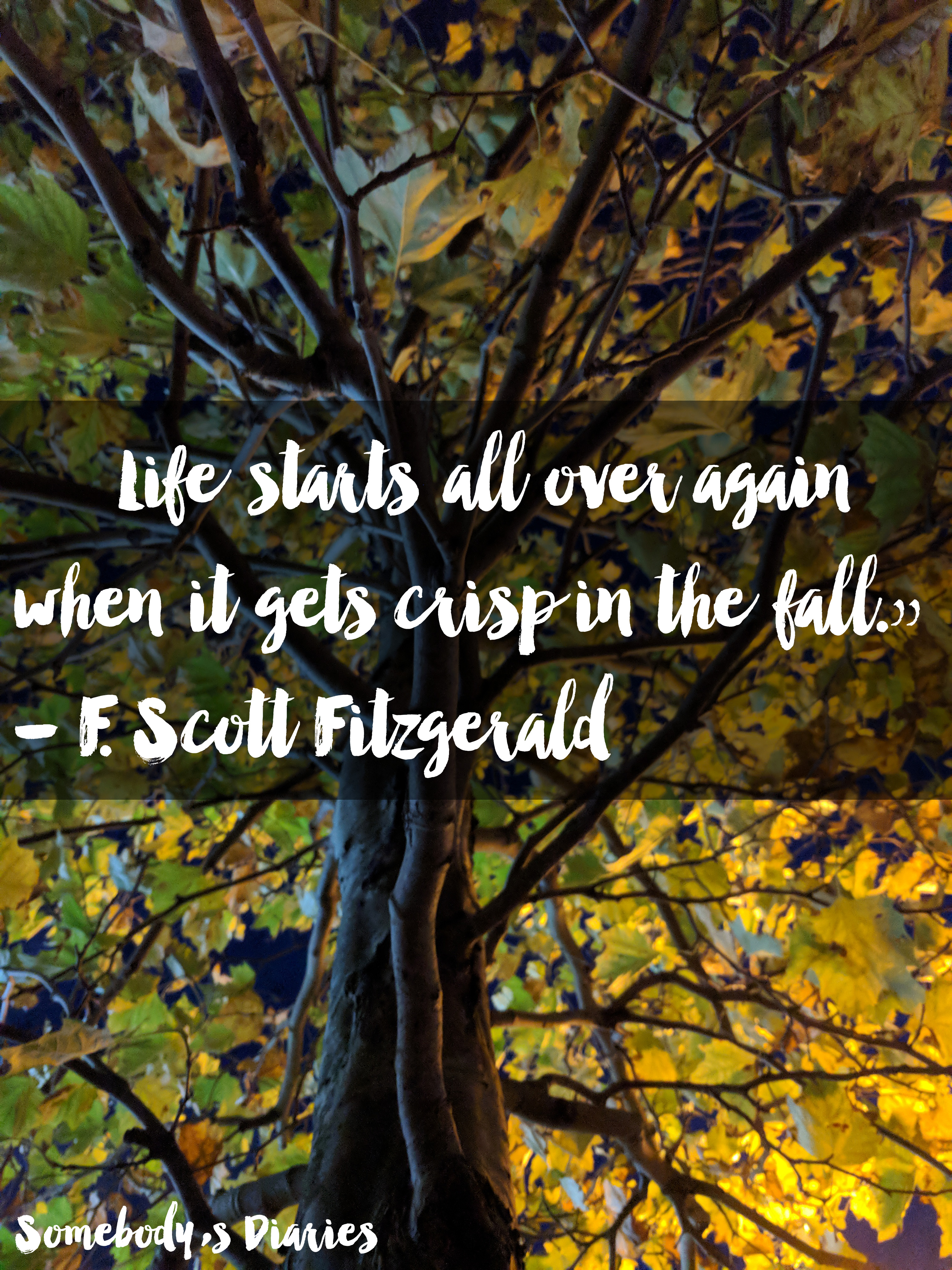 fitzgerald_edit - Copy